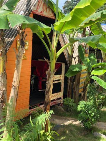 Beach Shack Chalet - Garden View Aframe Big Unit Kampong Juara Exterior foto